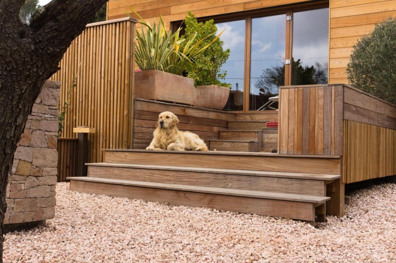 Les Oliviers Ferienhaus *